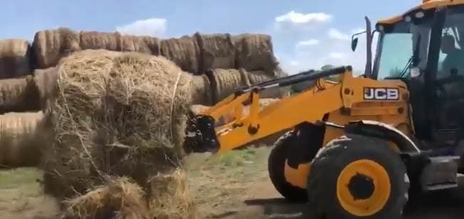 Вилы штырьевые серии ZL